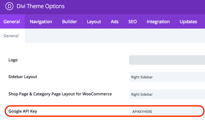 Divi Settings - Google Maps API Key